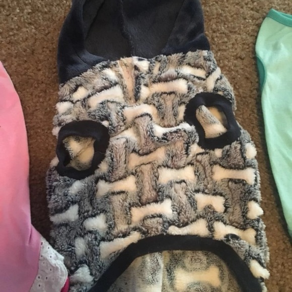 Puppy bundle! - Picture 3 of 4